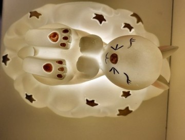 20231214125800resized 0