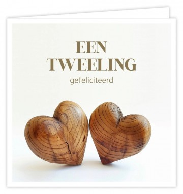 Een tweeling