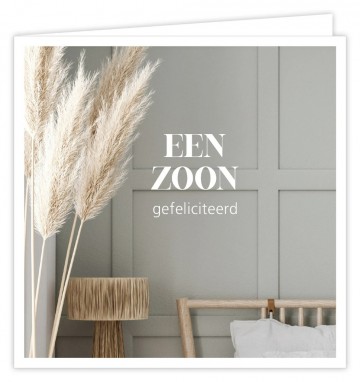 Een zoon 1