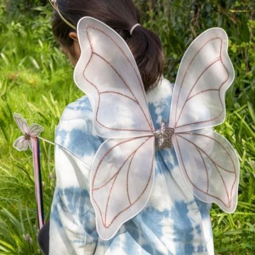 Fairy wings