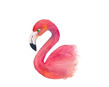 Flamingo poster