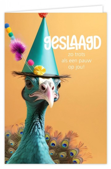 Geslaagd zo trots als een pauw op jou