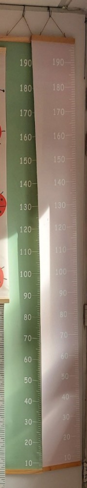 Groeimeter roze en mint   kopie