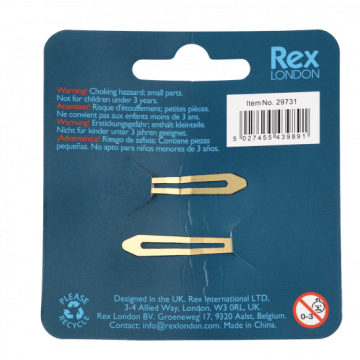 Haarspeld fairies in the garden ster3png