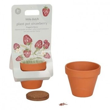 Little dutch plantenpotje aardbei1