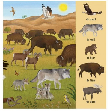 Mijn eerste zoekboek dieren uit de hele wereld1jpg