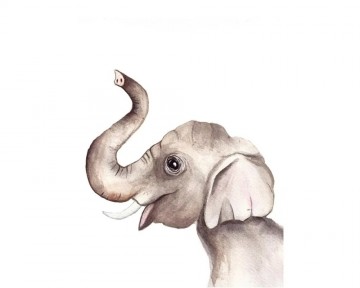 Olifant kaart