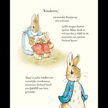 Pieter konijn boek en knuffel 1
