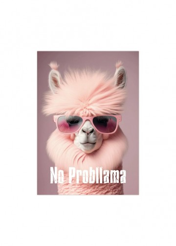 Poster no probllama