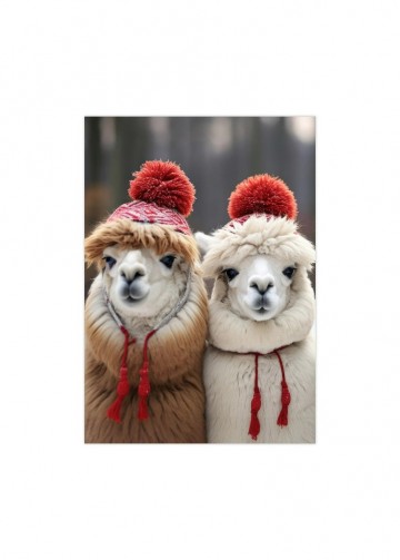 Poster twee winterse alpacas