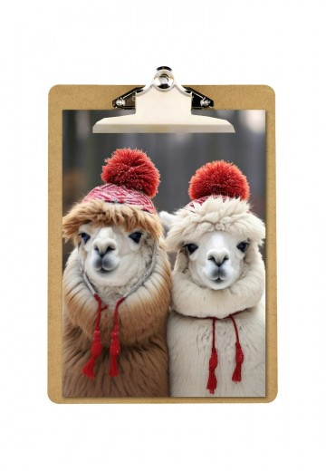 Poster twee winterse alpacas1webp