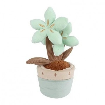 Take me home plant met 2 bloemen groen