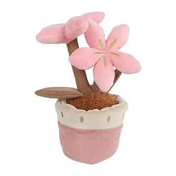 Take me home plant met 2 bloemen roze