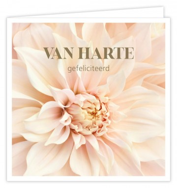 Van harte gefeliciteerd bloem