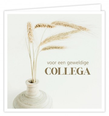 Voor een geweldige collega