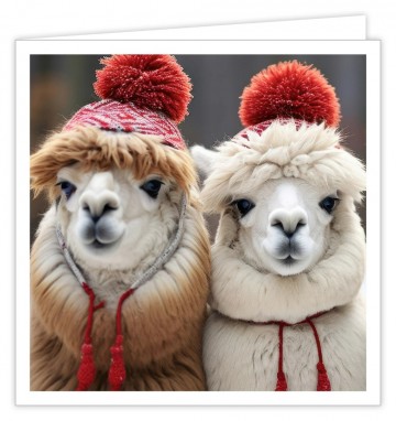 Wenskaart met 2 apalcas met wintermuts