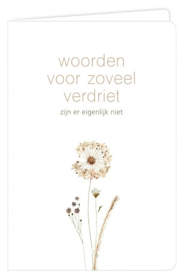 Woorden voor zoveel verdriet zijn er eigenlijk niet